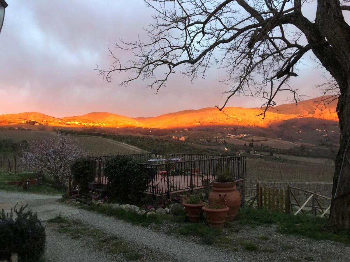 Azienda Agricola Il Poggiolino Vila Pelago Exterior foto