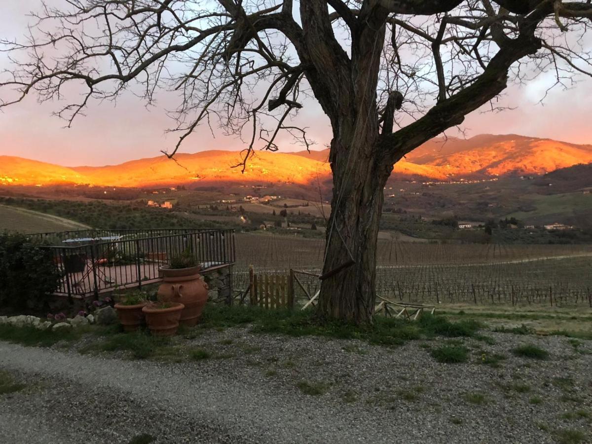 Azienda Agricola Il Poggiolino Vila Pelago Exterior foto