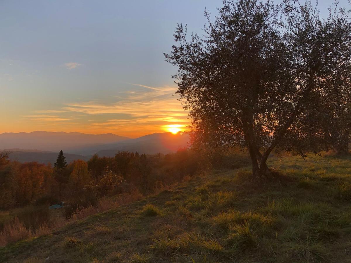 Azienda Agricola Il Poggiolino Vila Pelago Exterior foto