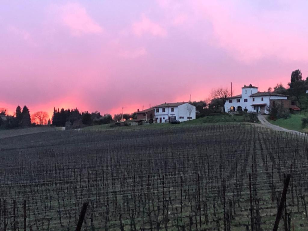 Azienda Agricola Il Poggiolino Vila Pelago Exterior foto